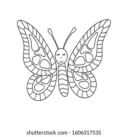 vector illustration butterfly coloring on a white background