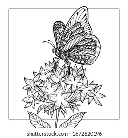 Vector illustration of butterfly coloring page