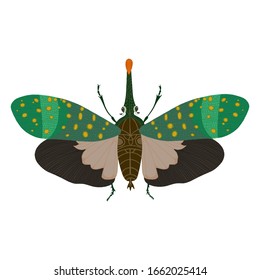 Vector illustration of a butterfly. Design element for pattern, greeting card.