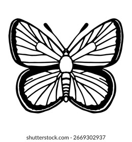 Ilustración vectorial de mariposa en estilo doodle.