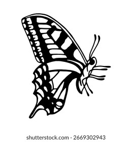 Ilustración vectorial de mariposa en estilo doodle.