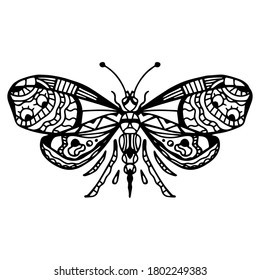 
Vector illustration of a butterfly, dragonfly. Black and white graphics isolated on white background. Tattoo, logo, icon.
