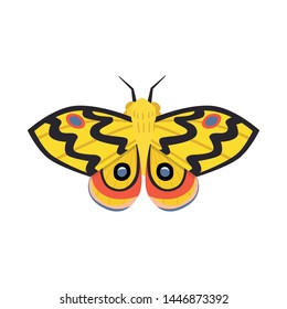 Vector illustration of butterfly and elegant icon. Set of butterfly and vivid stock vector illustration.