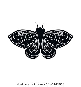 Vector illustration of butterfly and elegant icon. Collection of butterfly and vivid vector icon for stock.