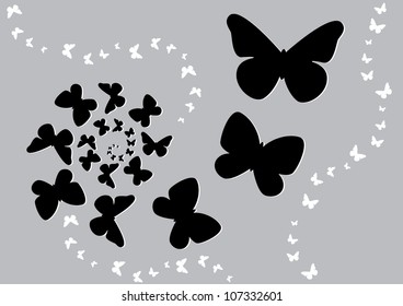 Vector illustration of the butterfly fly on a spiral, black and white butterflies