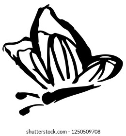 Vector Illustration of Butterfly Hand Drawn or Sketch for Isolated Graphic Design Outline, Sign, Symbol and more