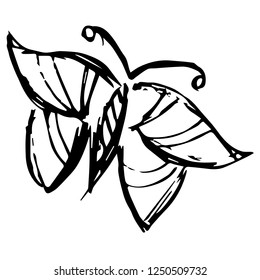 Vector Illustration of Butterfly Hand Drawn or Sketch for Isolated Graphic Design Outline, Sign, Symbol and more