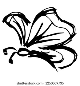 Vector Illustration of Butterfly Hand Drawn or Sketch for Isolated Graphic Design Outline, Sign, Symbol and more