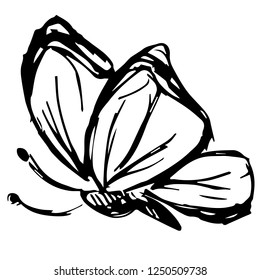 Vector Illustration of Butterfly Hand Drawn or Sketch for Isolated Graphic Design Outline, Sign, Symbol and more