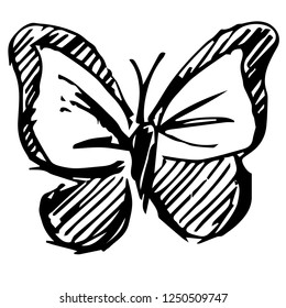 Vector Illustration of Butterfly Hand Drawn or Sketch for Isolated Graphic Design Outline, Sign, Symbol and more