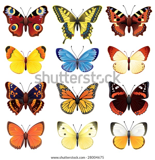 Vector Illustration Butterfly Icon Set Stock Vector (Royalty Free ...