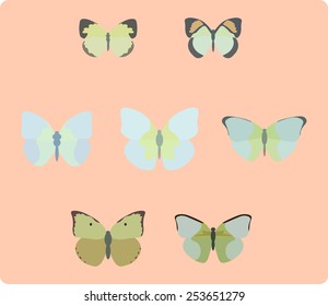 Vector illustration of butterfly isolated
