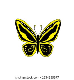 Vector illustration of butterfly isolated on white