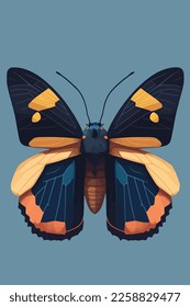 Vector illustration of a butterfly isolated on a blue background. Flat style. wall art print poster