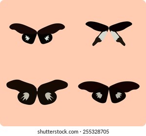 Vector illustration of butterfly isolated on pink background
