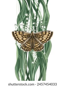 Vector illustration with the butterfly and the lily of the valley on the transparent background.