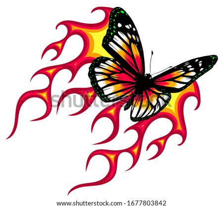 vector Illustration of a butterfly made of fire