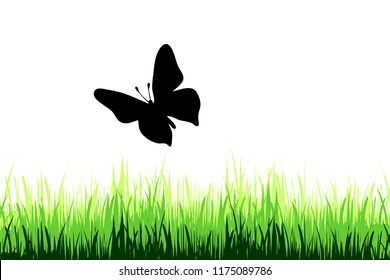 Vector illustration of butterfly in nature.