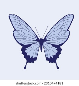 Vector illustration of a butterfly on a light background. 