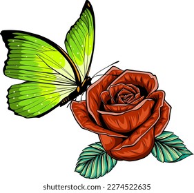 vector illustration of butterfly on rose