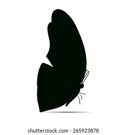Vector illustration of a butterfly on a white background.