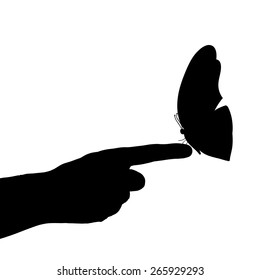 Vector illustration of a butterfly on a white background.