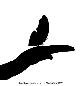 Vector illustration of a butterfly on a white background.