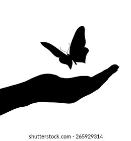 Vector illustration of a butterfly on a white background.