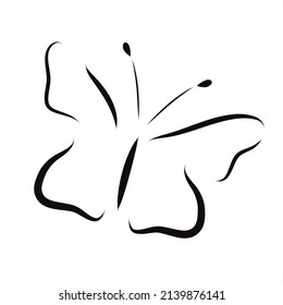 Vector illustration of butterfly painted with simple lines. Symbol of insect and nature.