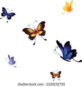 Vector illustration Butterfly set isolated on white background