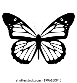 Vector illustration of a butterfly silhouette.