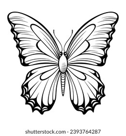 Vector illustration with butterfly. Simple contour drawing on a white background.