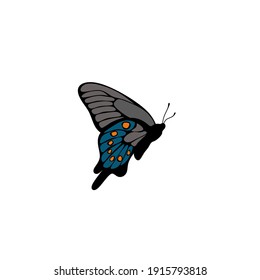 Vector illustration of a butterfly 
Suitable for use as logos, icons, posters, covers, etc
