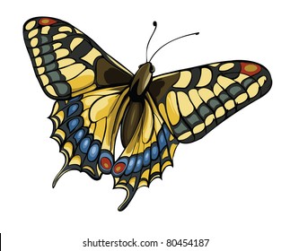 Vector illustration of butterfly Swallowtail (Papilio machaon)