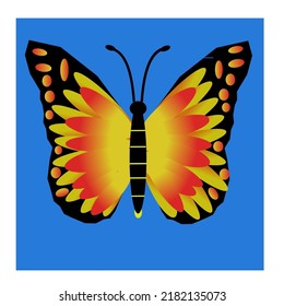 Vector illustration of a butterfly with a unique design in a beautiful yellow orange color