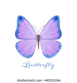 Vector illustration of butterfly with violet and blue wings on white background with shadow and text