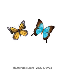 vector illustration of a butterfly with wide wings and a charming color. a colorful butterfly with a colorful pattern on it. Abstract Butterfly Wings. Exotic Moth.