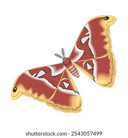 vector illustration of a butterfly with wide wings and a charming color. a colorful butterfly with a colorful pattern on it. Abstract Butterfly Wings. Exotic Moth Decor. Elegant Flying Insect.