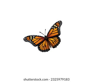 Vector illustration of a butterfly in yellow on a white background