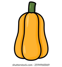 Vector Illustration of a Butternut Squash 