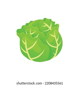 Vector Illustration Cabbage Colorful Gradient Mascot