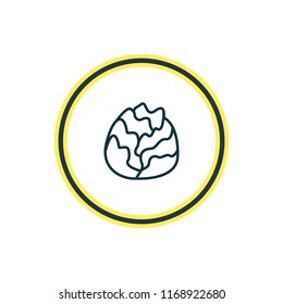 Vector illustration of cabbage icon line. Beautiful food element also can be used as cole icon element.