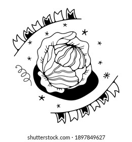 Vektorgrafik mit Kohl. Einzeln auf weißem Hintergrund. Cute-Doodle-Illustrationen.