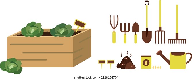 Vector illustration. Cabbage orchard with gardening elements,element for watering plants, seeds, shovels, compost.
white background