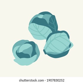 Vector illustration of cabbage. Set of cabbage isolated on beige background. Hand-drawn. Illustration of vegetables. Suitable for illustrating healthy eating, recipes, local farm.