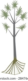 A vector illustration of a cabbage tree