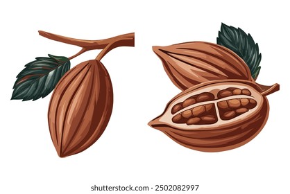 Vector illustration of cacao beans isolated on white background. Ideal for food, chocolate, and natural product designs.