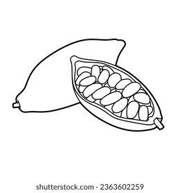 Vector illustration of cacao lineart isolated for coloring on white background
