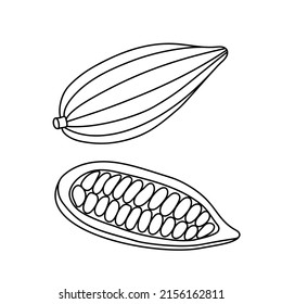 Ilustración vectorial de una vasija de cacao con frijoles en el estilo de doodle aislada en un fondo blanco.