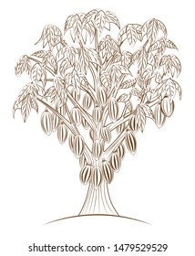 Vector Illustration Cacao Tree Line Style Stock Vector (Royalty Free ...